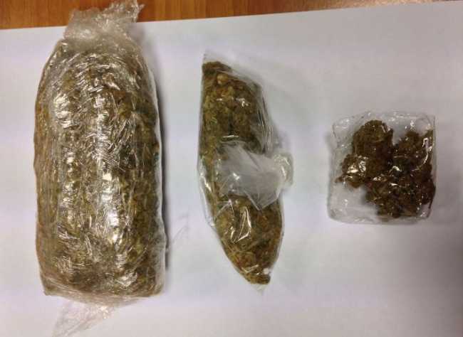 marijuana vb profugo