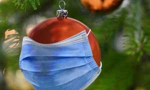 mascherina.natale
