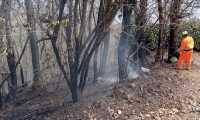 massino incendio