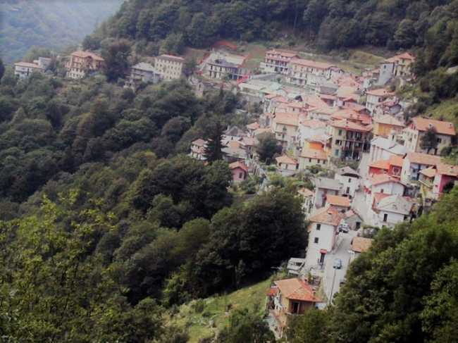 massiola700