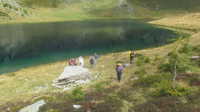 matogno trotapian