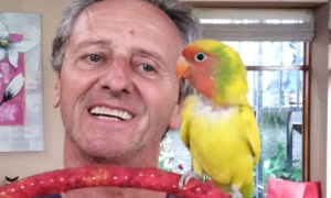 max polli pappagallo