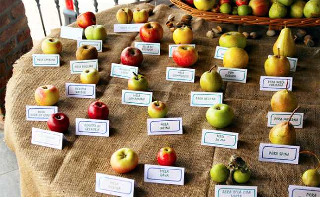 mele varieta esposizione