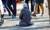 mendicante