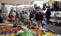 mercato gen