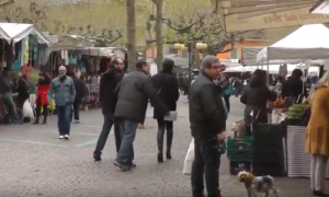 mercato omegna