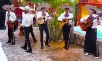 messico orchestra