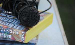 microphone 788561 640 700