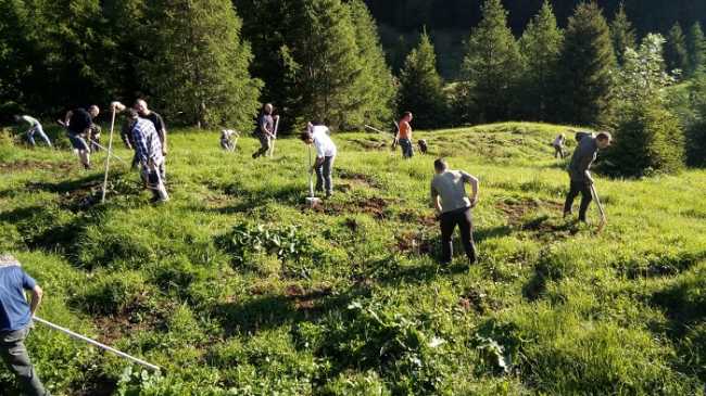 miglioramenti ambientali