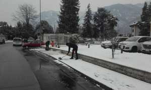 migranti gravellona neve