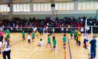 mini volley csi