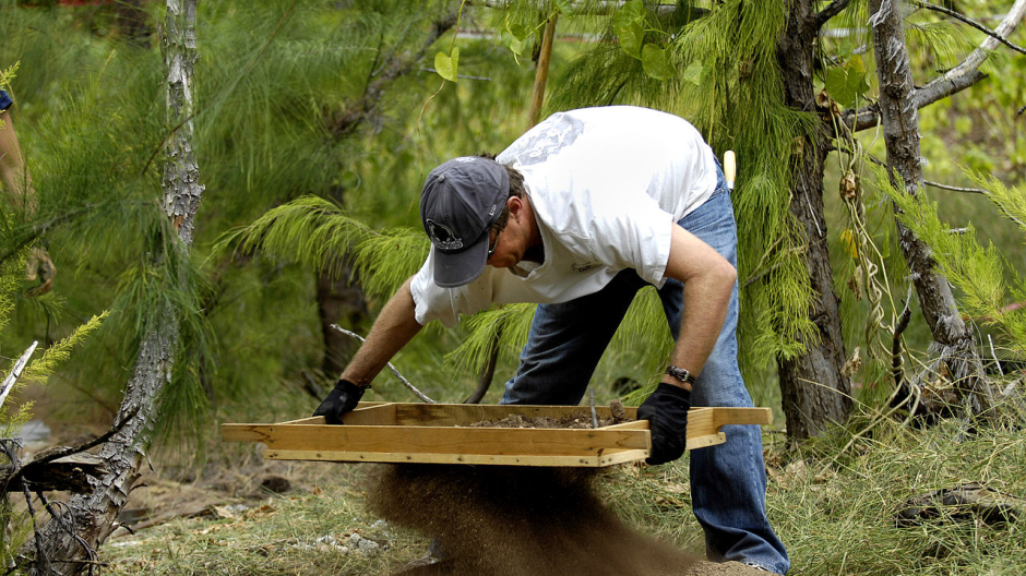 Scopri un reperto archeologico? Hai diritto a un premio (di C. Crapanzano) 