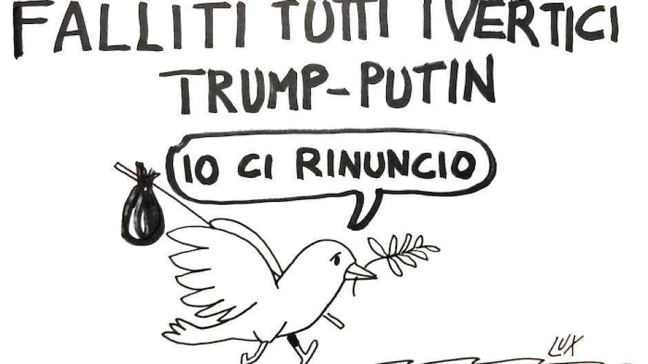 La vignetta dell'architetto Lux 