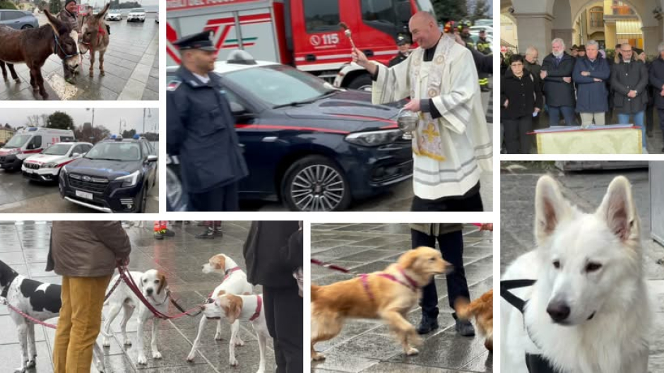 Verbania, torna la benedizione degli animali per Sant'Antonio