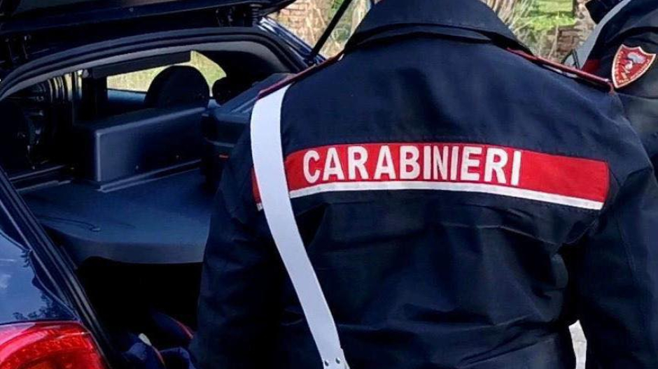 Estorsione con cani molossi: nuovo arresto per il 19enne già in carcere