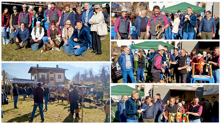 25ª edizione di Craf in Crof: festa alpina tra tradizione, allevamento e comunità