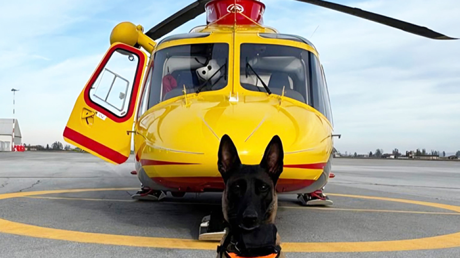 Unità Cinofile da Valanga piemontesi pronte per la nuova stagione invernale