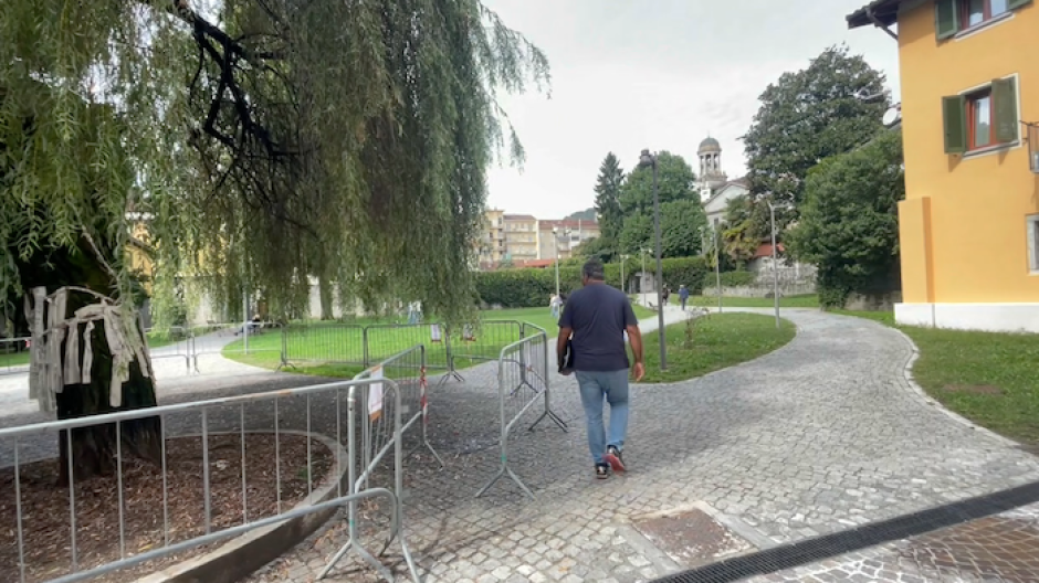 Verbania, 189 alberi abbattuti: Capra difende le scelte, Allevi chiede trasparenza