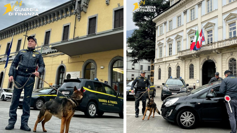 Spaccio ad Halloween: la Guardia di finanza arresta 19enne 