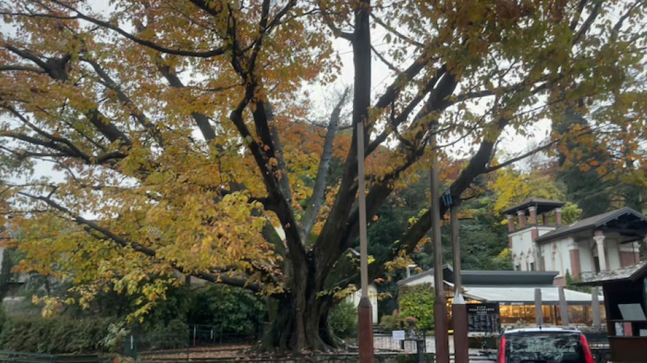 Villa Taranto: stagione chiusa solo in apparenza. Il bilancio dell'annata