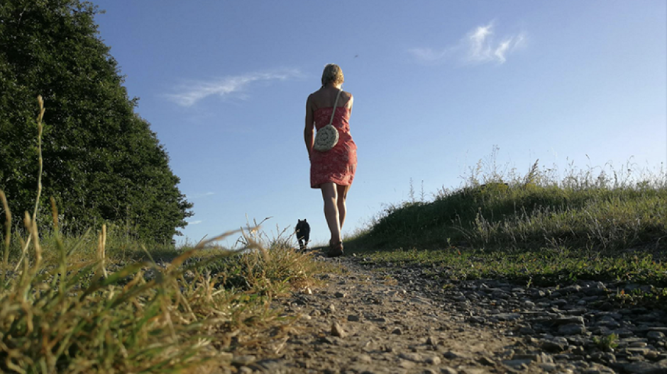 Cani obbligatoriamente al guinzaglio dal 1 dicembre nell'area protetta dei Parchi