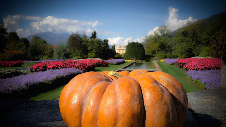 Il Futuro è Zucca?: a Villa Taranto un viaggio nell'universo delle Cucurbitaceae