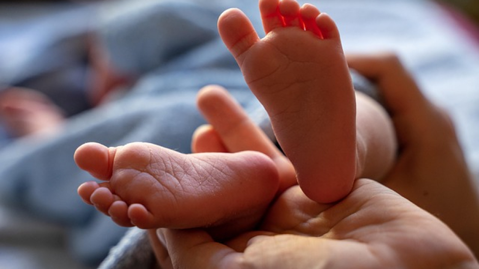 Donazione del cordone ombelicale. Ce ne parla l'avvocato Crapanzano 