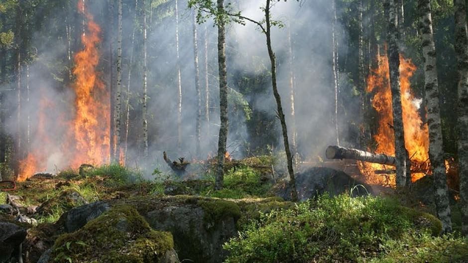 Incendi boschivi, la Regione approva linee guida per piani prevenzione territoriali