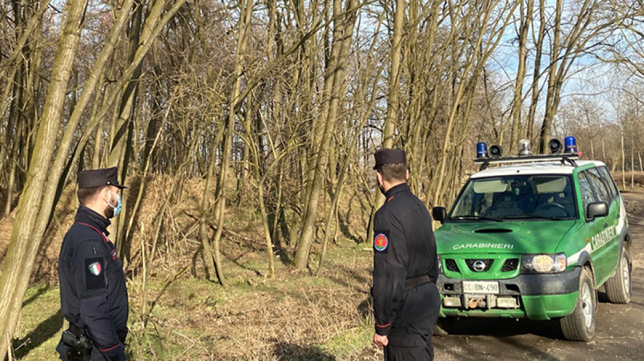 Crescono i reati ambientali, nel VCO 101 casi