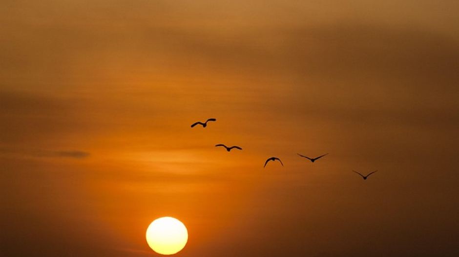 Anticipo d'estate: sole e primi 30 gradi in Piemonte