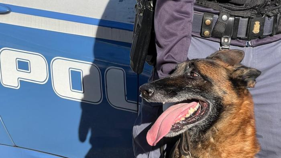 Omegna, controlli antidroga nelle scuole: tre minorenni segnalati alla Prefettura