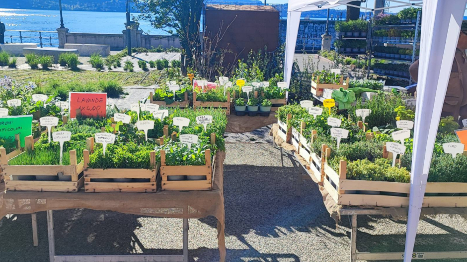 Il “lungolago Fiorito” anima il weekend pasquale intrese