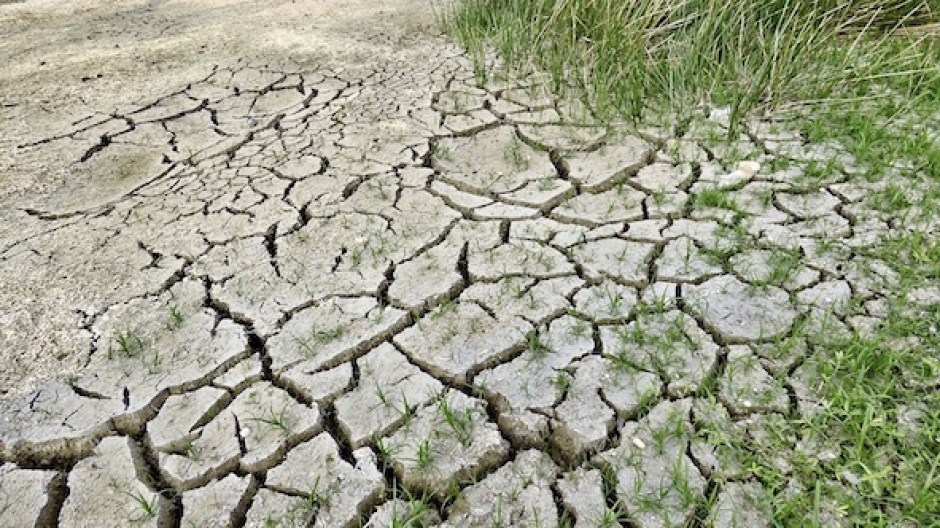 Regione, la giunta ha approvato composizione Osservatorio Cambiamenti Climatici