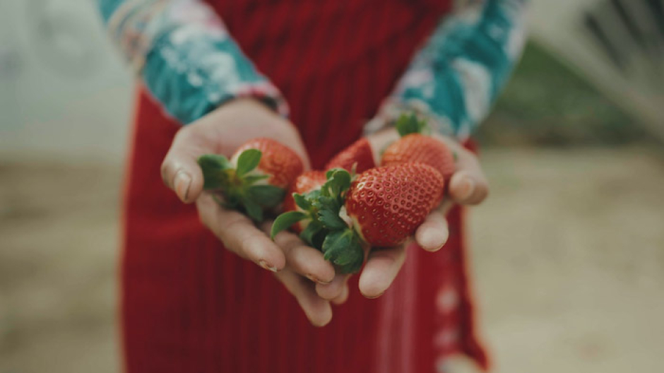 Frutta e sfruttamento: a Trobaso la proiezione del film denuncia The Pickers