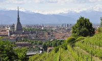 mole torino
