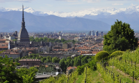 mole torino vigna