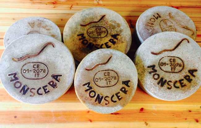 monscera formaggi