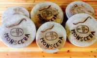 monscera formaggi