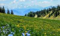 montagna paesaggio