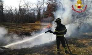 montegrino v inc due