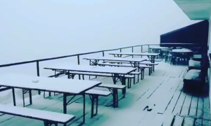 moro prima neve 18