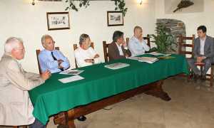 mosaico onlus presentazione scesa