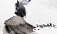mostra Pratt