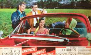 mostra druogno stampa usa