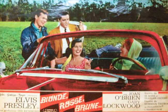 mostra druogno stampa usa