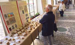 mostra pomologica rosmini