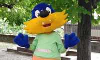 motty mottarone