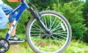 mountain bike bambino