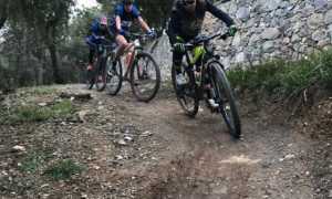 mountain bike