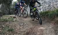 mountain bike